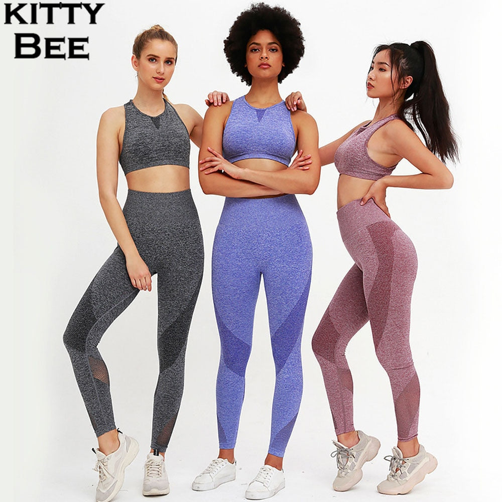 Seamless Yoga Set Gym Clothing 2 Piece Women Tracksuit Sport Suit